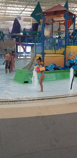 Water Park «The Water Works Indoor Water Park», reviews and photos, 505 N Springinsguth Rd, Schaumburg, IL 60194, USA