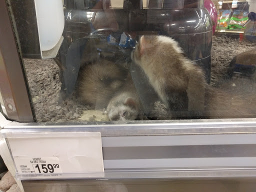 Pet Supply Store «Petco Animal Supplies», reviews and photos, 664 New Loudon Rd #240, Latham, NY 12110, USA