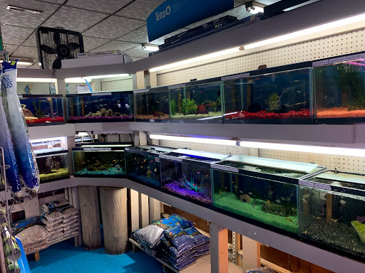 Pet Store «Southside Pet Shop», reviews and photos, 7031 Southside Dr, Louisville, KY 40214, USA