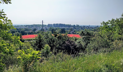 Sade Cgth à Dole