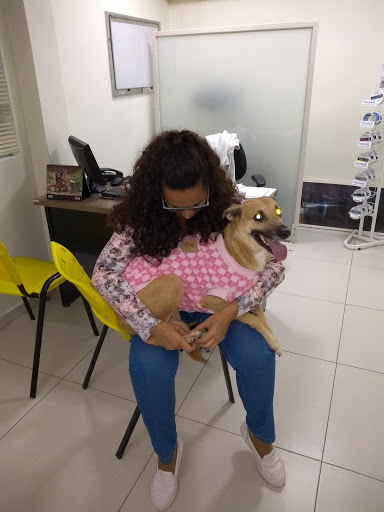Hospital Veterinário Mar a Pet em Santos - SP