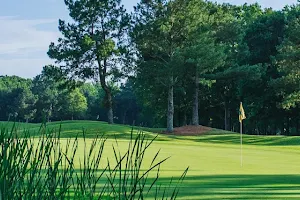 RiverPines Golf image