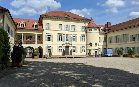 Schloss Neckarhausen image