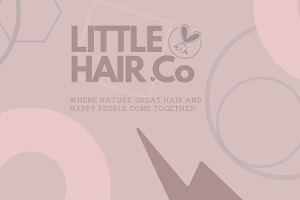 Little Hair Co