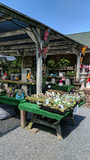 Pet Store «Farmer Girl Exotic Gardens», reviews and photos, 18940 Coastal Hwy, Rehoboth Beach, DE 19971, USA