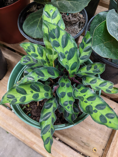 Home Improvement Store «The Home Depot», reviews and photos, 4447 US-14, Crystal Lake, IL 60014, USA