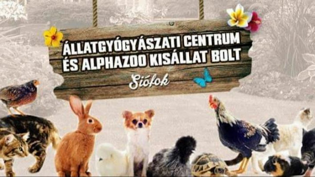 Állatgyógyászati Centrum - Alphazoo Kisállat Felszerelés - Tierklinik - Petshop