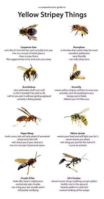 Reliant Pest Control, LLC - Photo 9 - Car repair in , Allentown