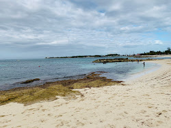 Photo de Saunders beach - endroit populaire parmi les connaisseurs de la détente