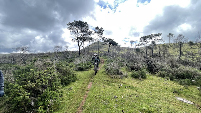 Freeride - Funchal