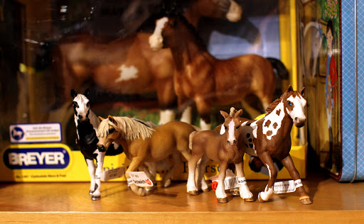 Toy Store «Treehouse Toys Ltd», reviews and photos, 47 Exchange St, Portland, ME 04101, USA