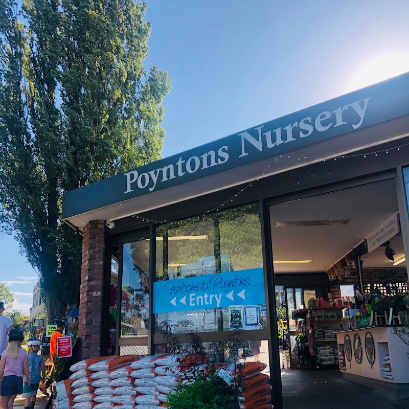 Poyntons Nursery