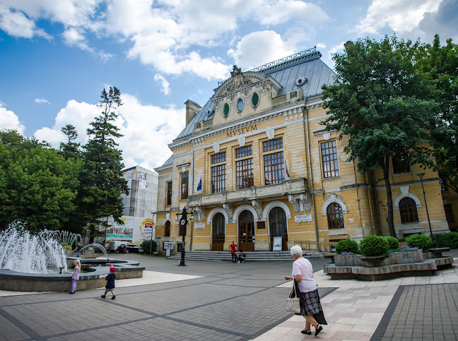 Muzeul Județean de Istorie