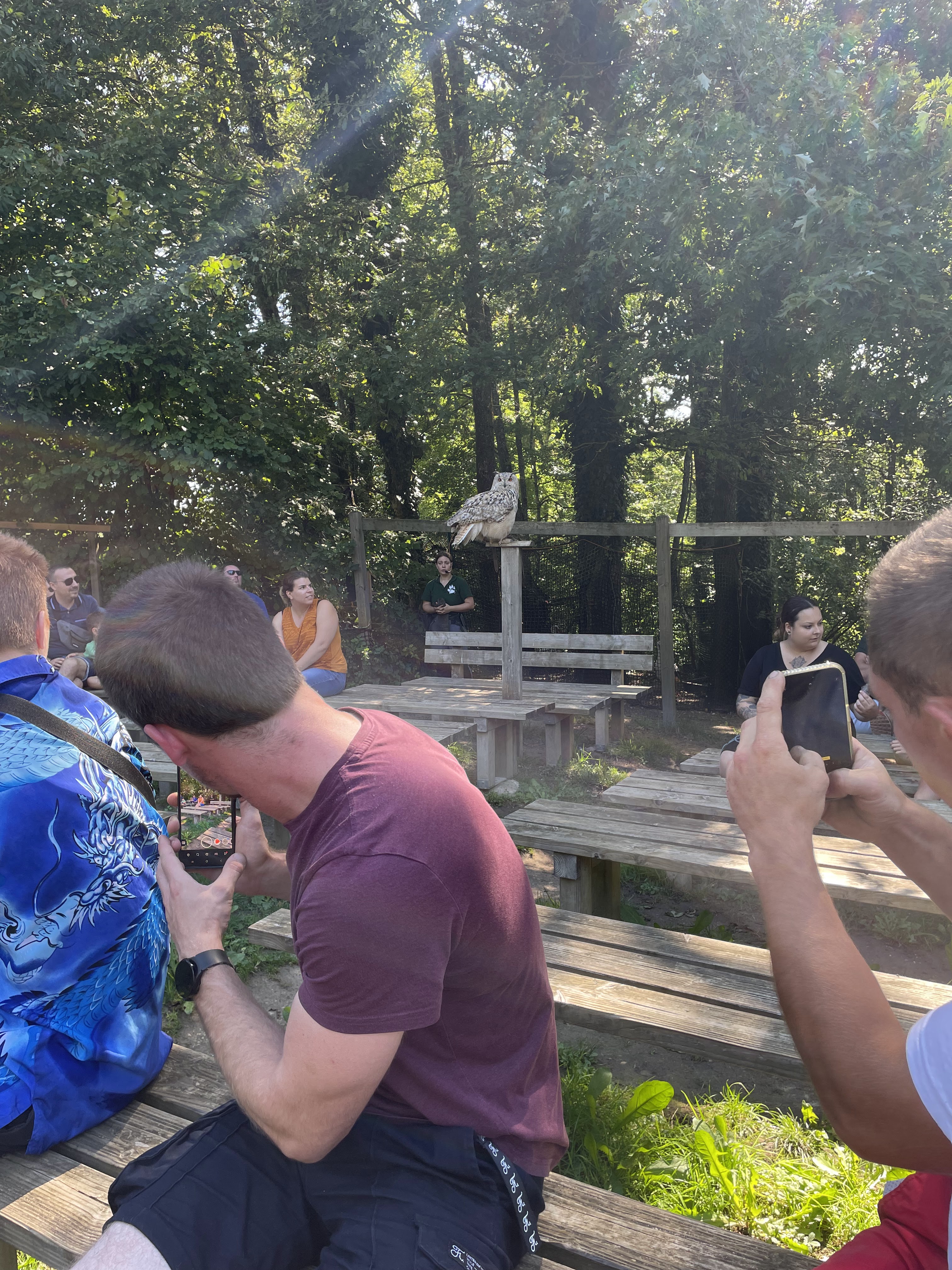 Photo n° 6 de l'avis de catherine.h fait le 22/08/2023 à 10:19