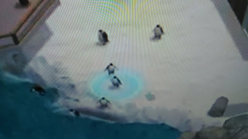 Zoo «Arctic Ring of Life», reviews and photos, 8450 W 10 Mile Rd, Royal Oak, MI 48067, USA