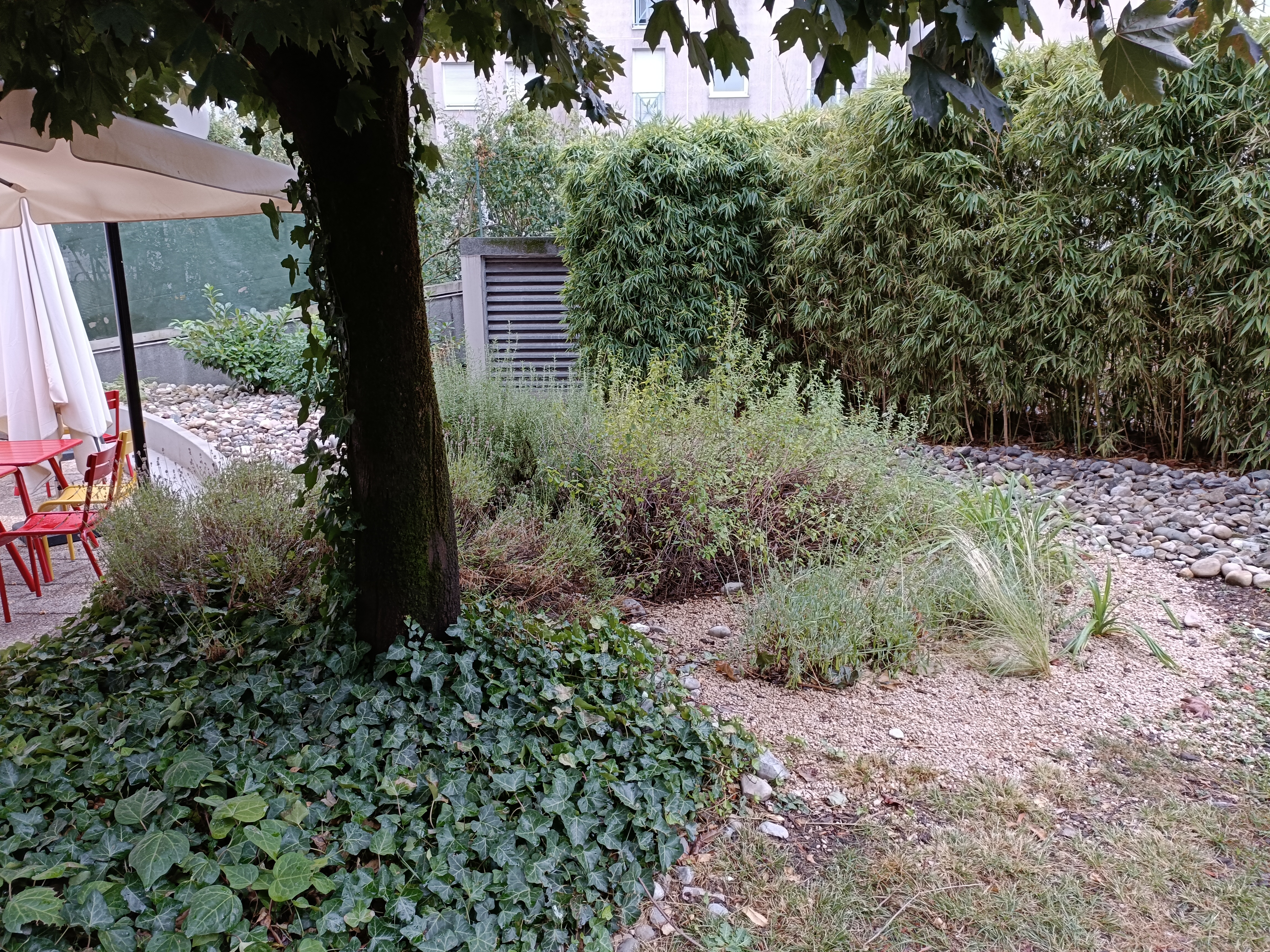 Photo n° 4 de l'avis de Carine.h fait le 27/08/2023 à 10:45