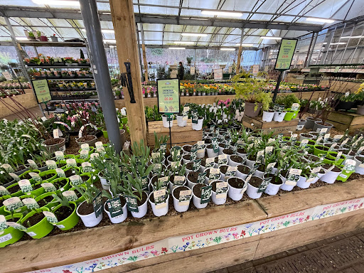 Derby Garden Centre