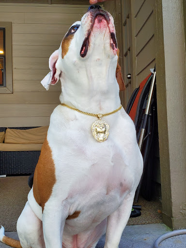 Jewelry Store «Diamonds & Co», reviews and photos, 141 Towne Center Cir, Sanford, FL 32771, USA