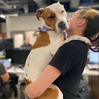 Veterinary Emergency Group - Photo 9 - Car repair in Encinitas, CA, Carlsbad