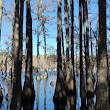 Wakulla Ranger District
