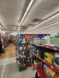 Petco - Photo 6 - Car repair in Fairfax, VA, Alexandria