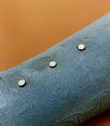 Explore 2 dog tattoo ideas, creative tattoo ideas in Orange, available at Symbiosis Body Piercing