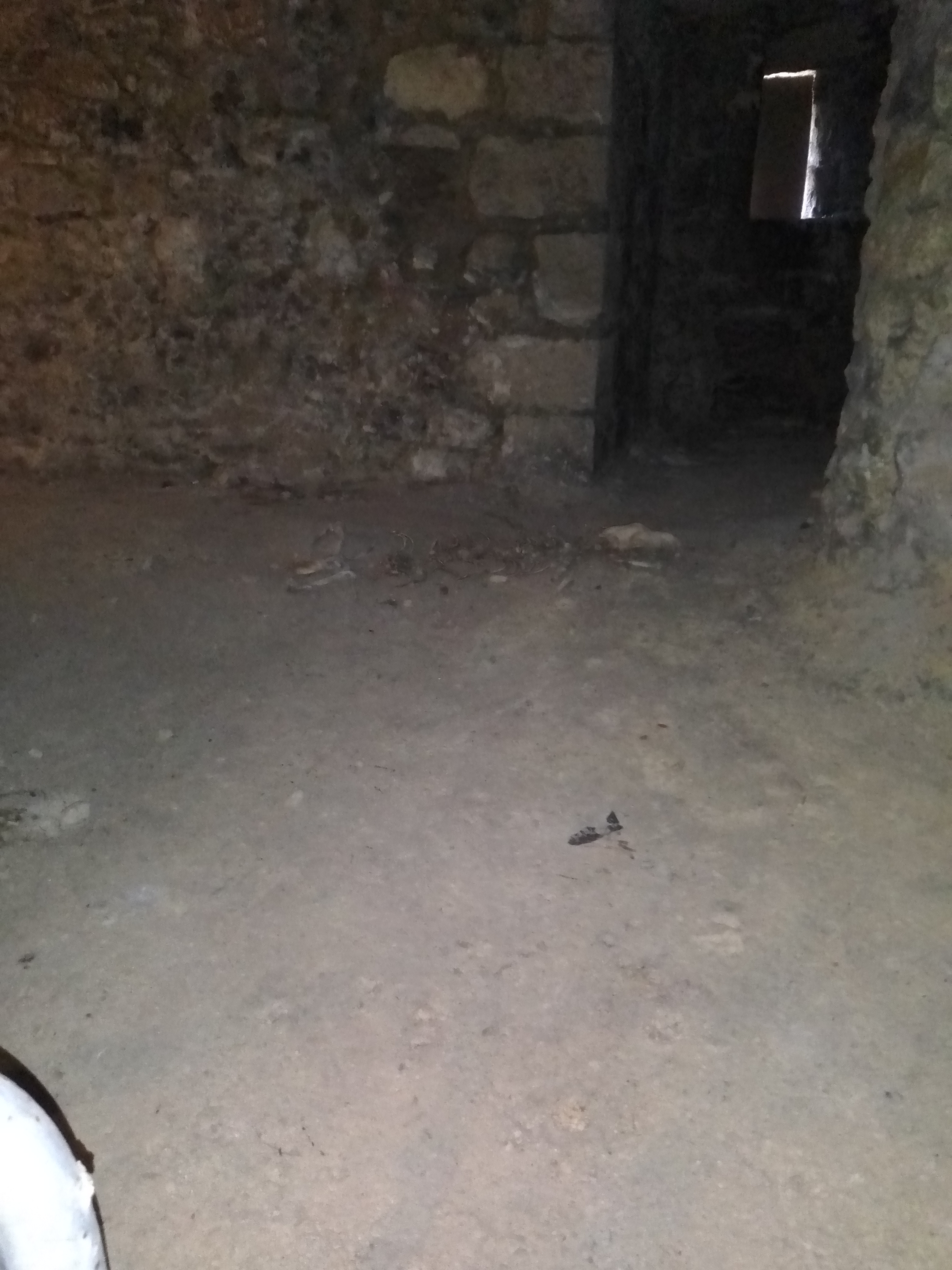 Photo n° 2 de l'avis de Prisc. fait le 16/08/2022 à 18:31