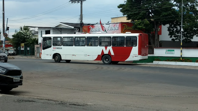 Via Verde Transportes Coletivos Ltda. - Manaus