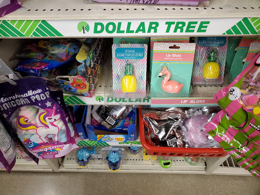 Dollar Store «Dollar Tree», reviews and photos, 918 E New York St #130, Aurora, IL 60505, USA