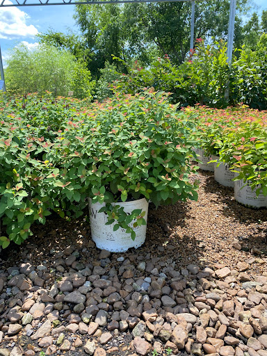 Landscaping Supply Store «Kirkwood Gardens», reviews and photos, 2701 Barrett Station Rd, Ballwin, MO 63021, USA