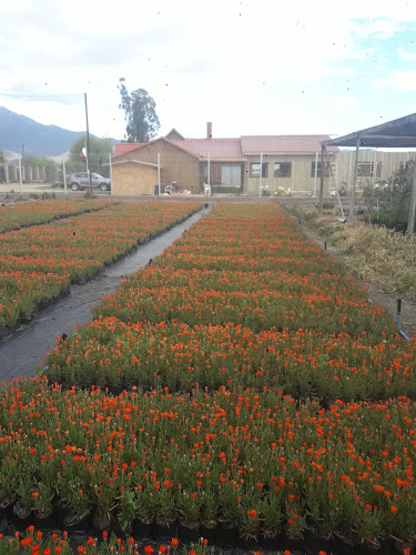 Opiniones de Jardín Lucero en La Cruz - Centro de jardinería