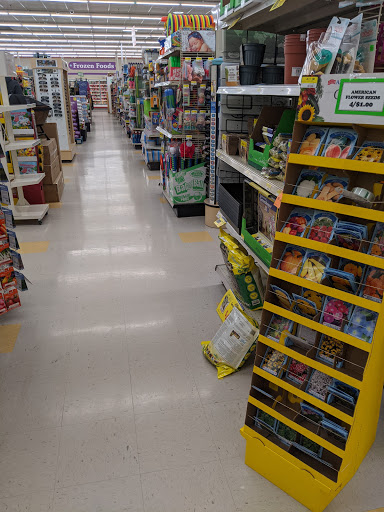 Pharmacy «Discount Drug Mart», reviews and photos, 24485 Lorain Rd, North Olmsted, OH 44070, USA