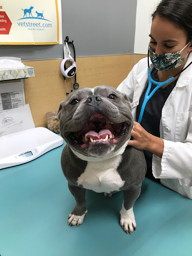 Clackamas Pet Clinic