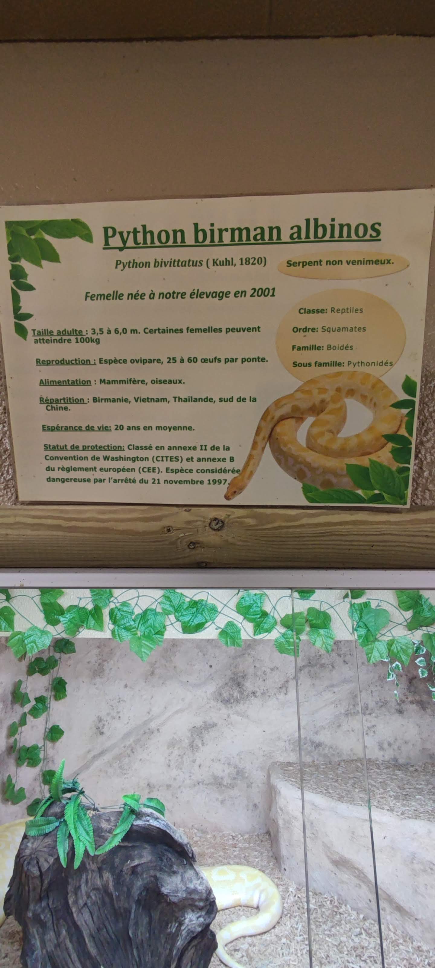 Photo n° 36 de l'avis de Yannick.o fait le 11/02/2023 à 16:29