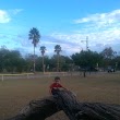 Flato Park