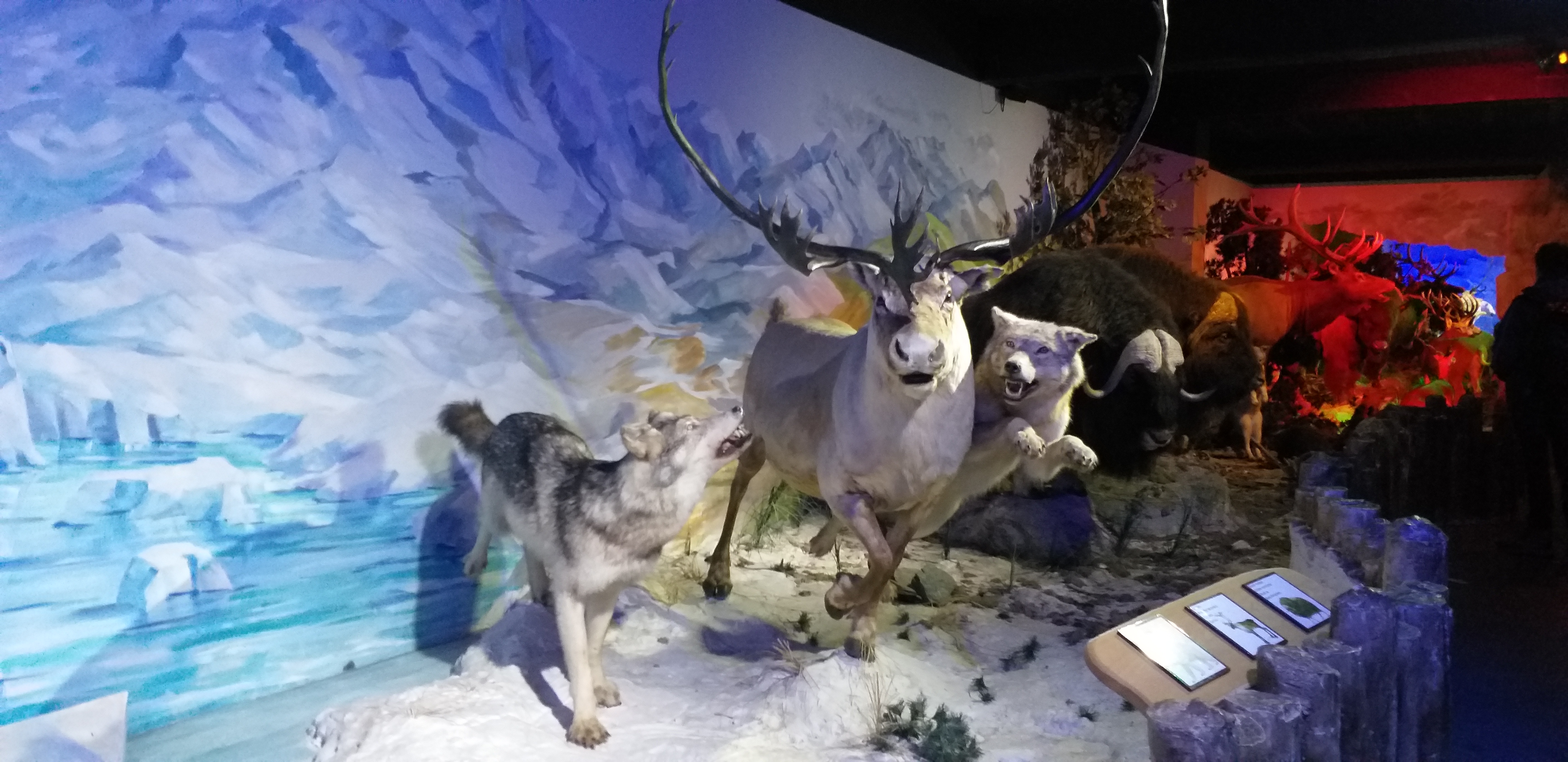 Photo n° 16 de l'avis de Caroline.e fait le 11/08/2019 à 21:48