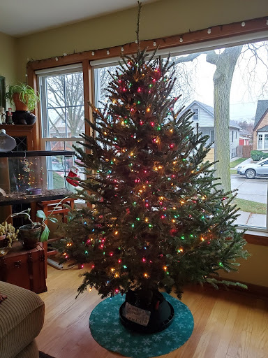 TreeSanta Christmas Tree Delivery