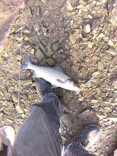 Water Park «Petersen Splash Pad at Watson Park», reviews and photos, Gordon Rd, Braintree, MA 02184, USA