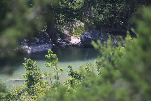 Non-Profit Organization «Westcave Outdoor Discovery Center», reviews and photos, 24814 Hamilton Pool Rd, Round Mountain, TX 78663, USA