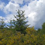 Photo n°6 de l'avis de Alessandra.a fait le 12/06/2023 à 10:16 sur le  BAR and Italian Restaurant Giuntini à Montemignaio