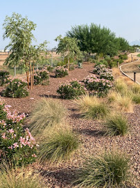 Surprise Landscaping Co - Photo 2 - Car repair in , Peoria