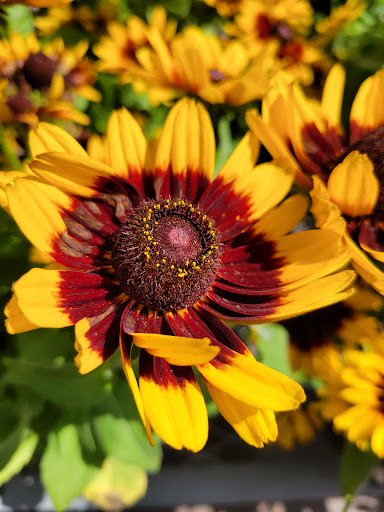 Home Improvement Store «The Home Depot», reviews and photos, 736 Route 202 South, Bridgewater, NJ 08807, USA