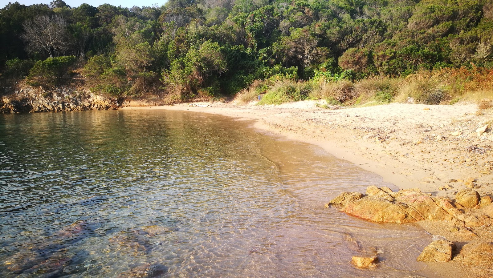 Punta Cardinalino'in fotoğrafı - tatil için iyi evcil hayvan dostu nokta