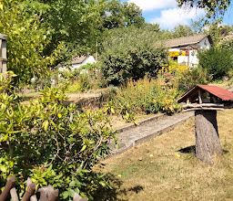 Kleingärtner Verein Nordstadt e.V. photo