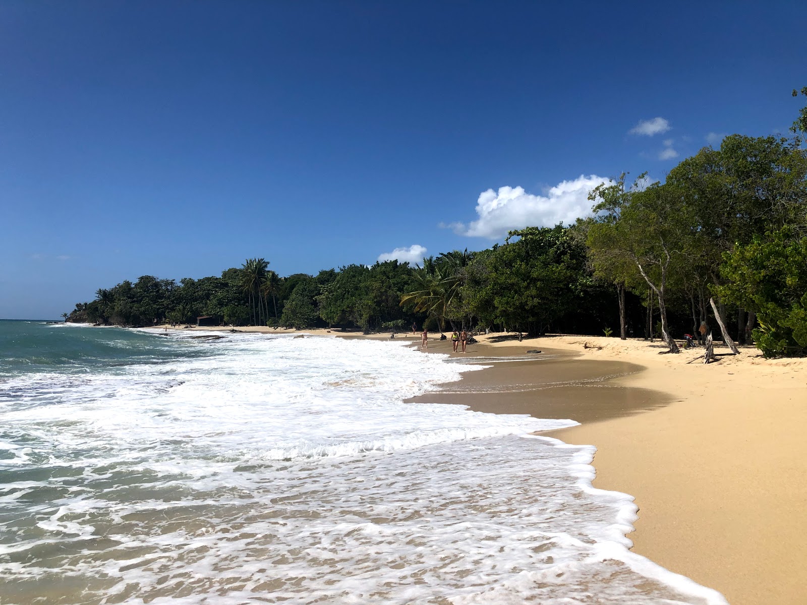 Photo de Plage Anse désert avec sable fin et lumineux de surface