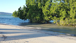 Zdjęcie Ankilibe Beach z proste i długie