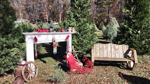 Christmas Tree Farm «Sleepy Hollow Farm & Escape Woods», reviews and photos, 628 Sleepy Hollow Rd, Powder Springs, GA 30127, USA