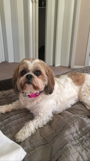 Attorney «David G. Sadler Attorney at Law», reviews and photos