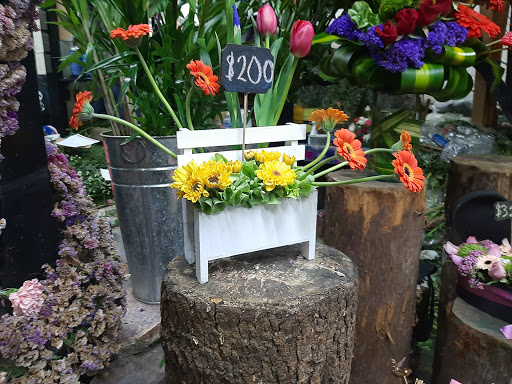 Florería Hortencia – San Martín Texmelucan de Labastida