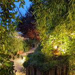 Photo n°4 de l'avis de Alessandro.a fait le 29/07/2021 à 16:37 sur le  Serre Torrigiani à Florence